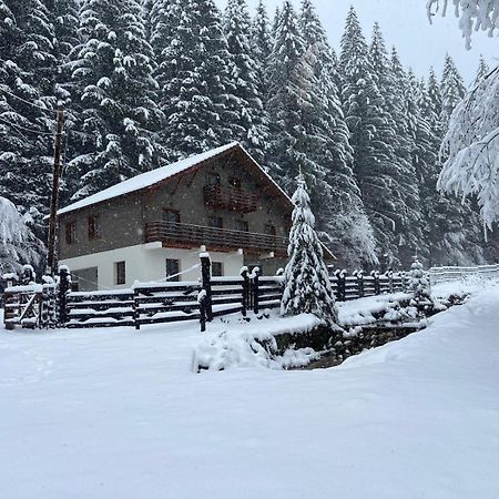 Chiba Chalet Тімішу-де-Жос Екстер'єр фото