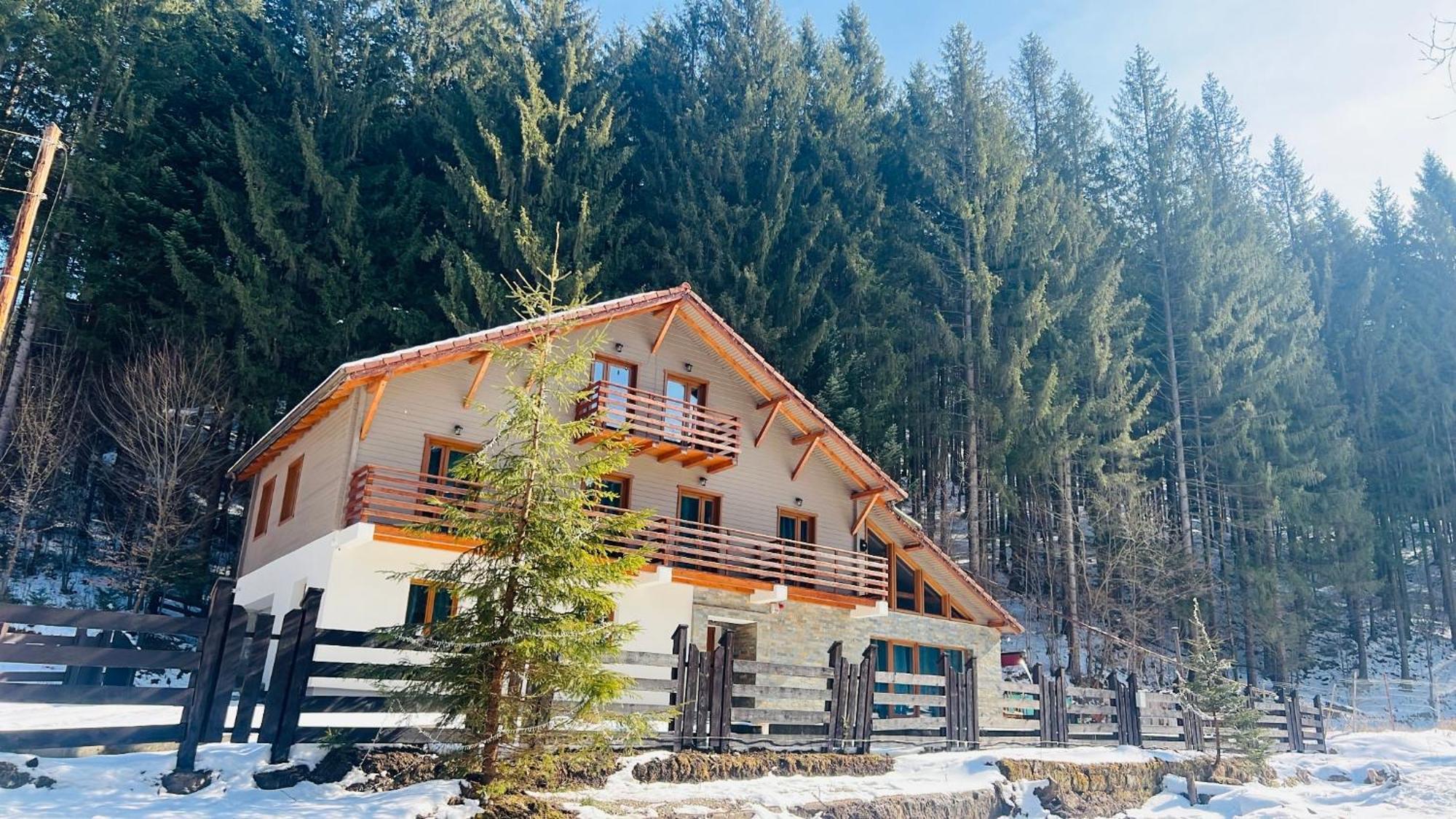 Chiba Chalet Тімішу-де-Жос Екстер'єр фото