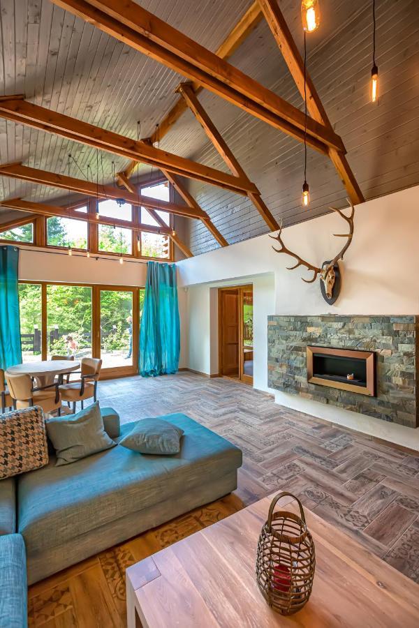 Chiba Chalet Тімішу-де-Жос Екстер'єр фото